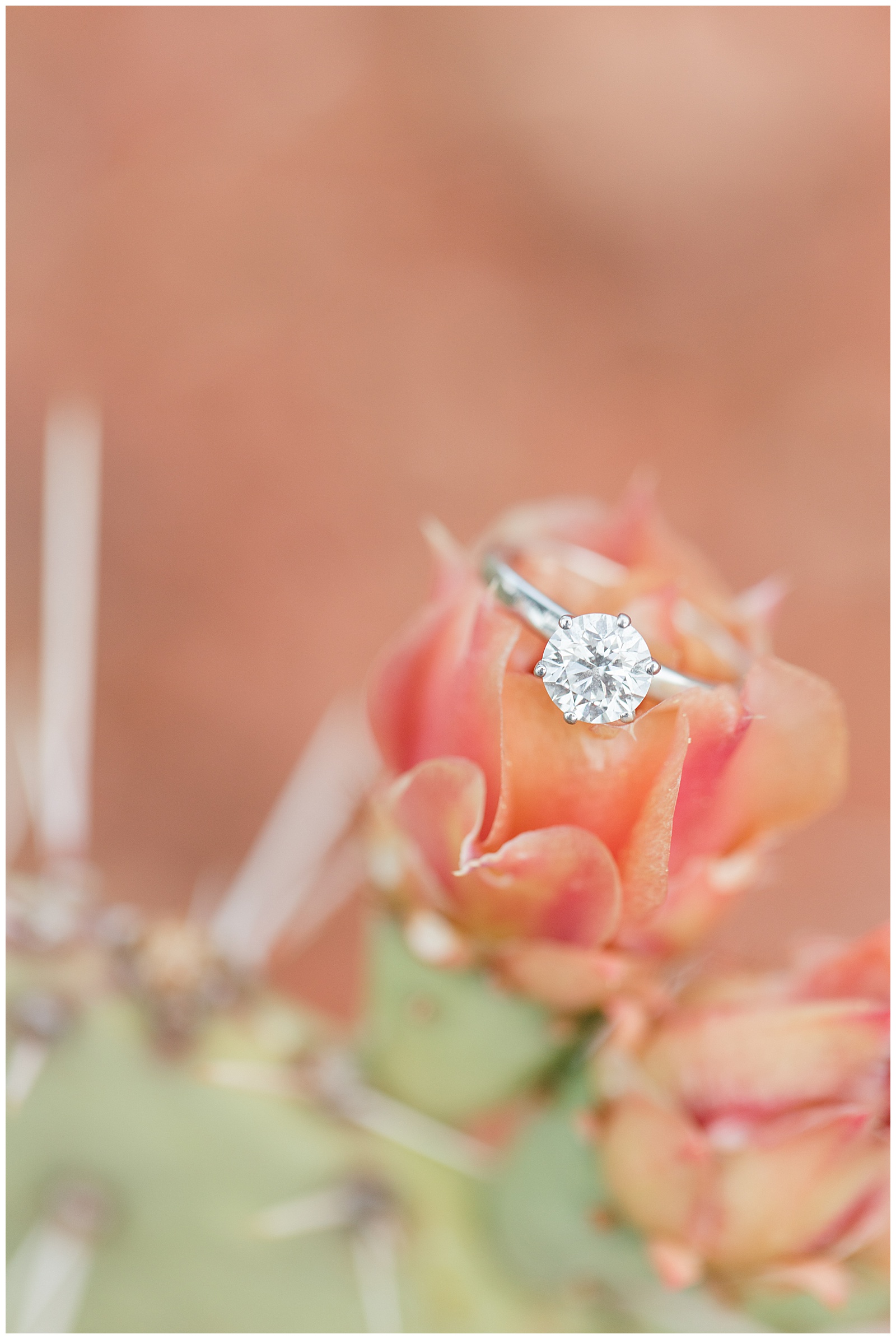 Arizona Wedding Photographer engagement macro ring shot