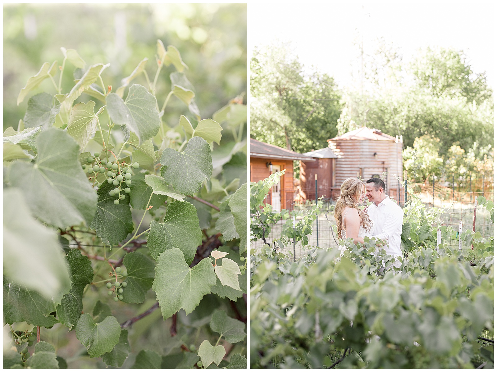 Vineyard gives way to elopement couple with silo in the background