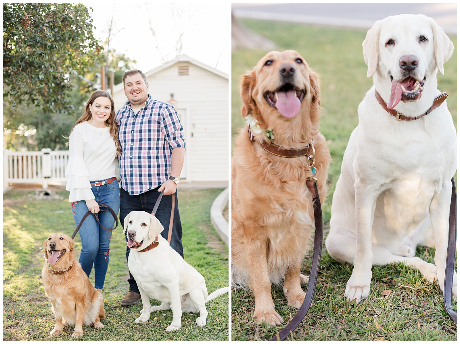 Planning a wedding dogs in engagement photos