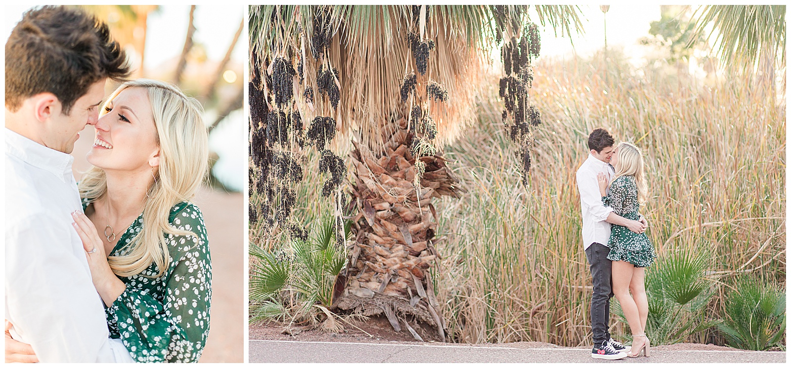 engagement photos Phoenix Wedding Photographers papago park hole in the rock palm trees