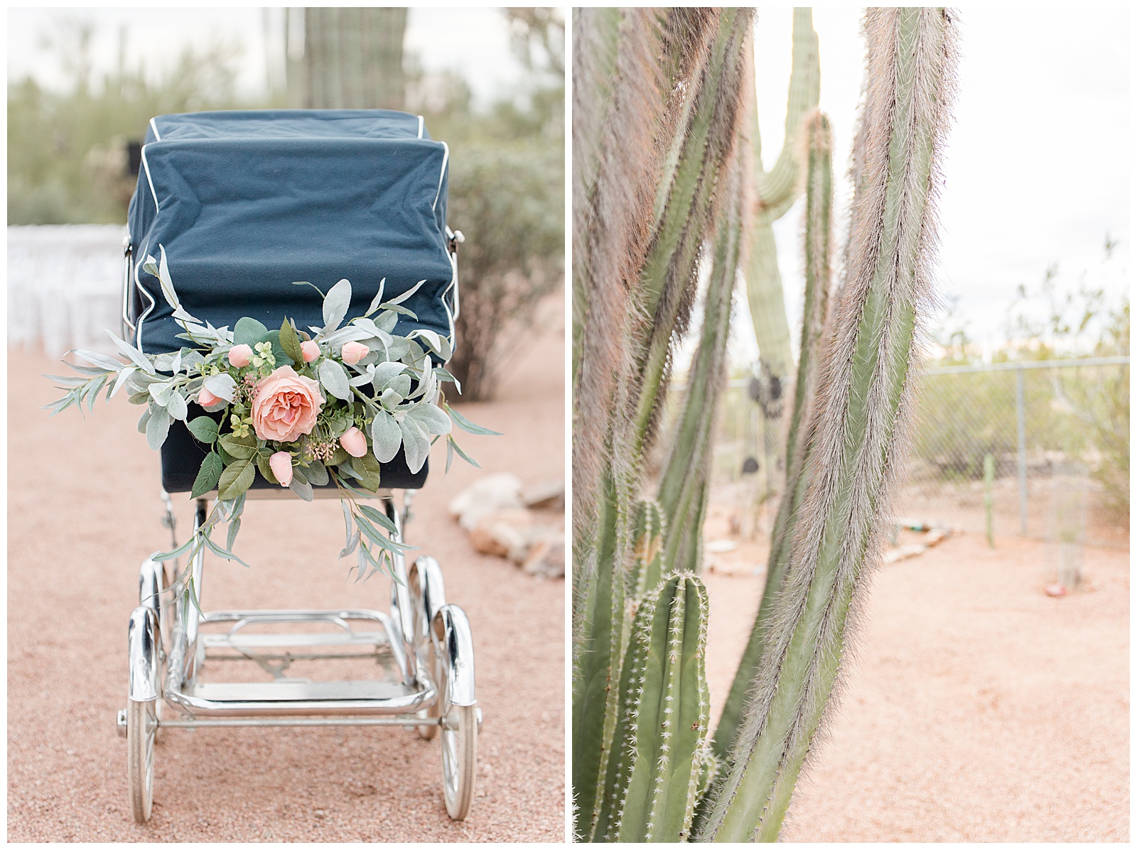 desert wedding strollerr