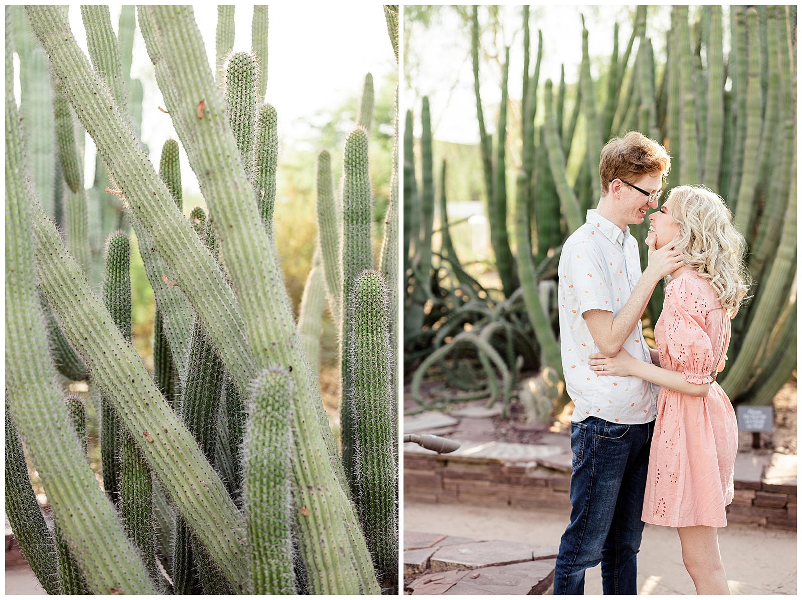 Arizona Wedding Photographers | A Desert Botanical Garden Engagement | Phoenix Wedding Photographers