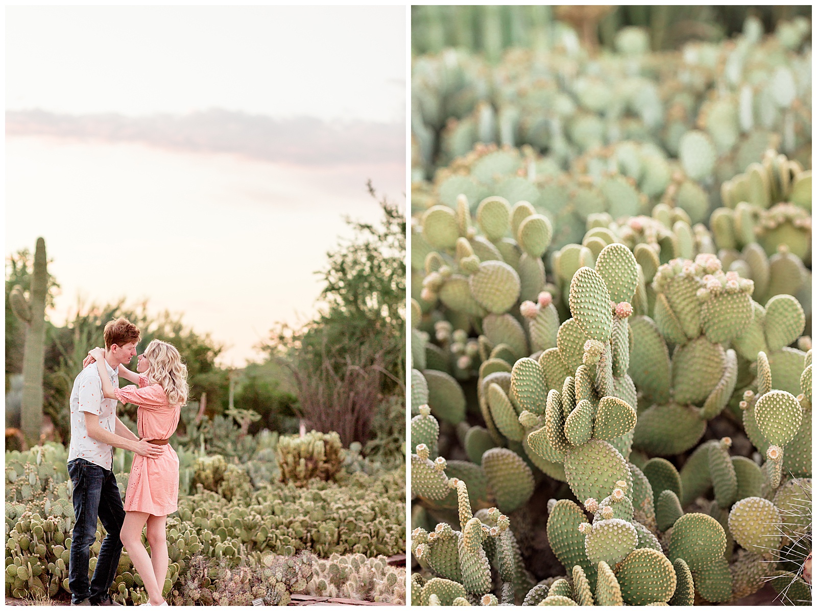 Dreamy Desert Botanical Garden Engagement Photos | Melany + Sam