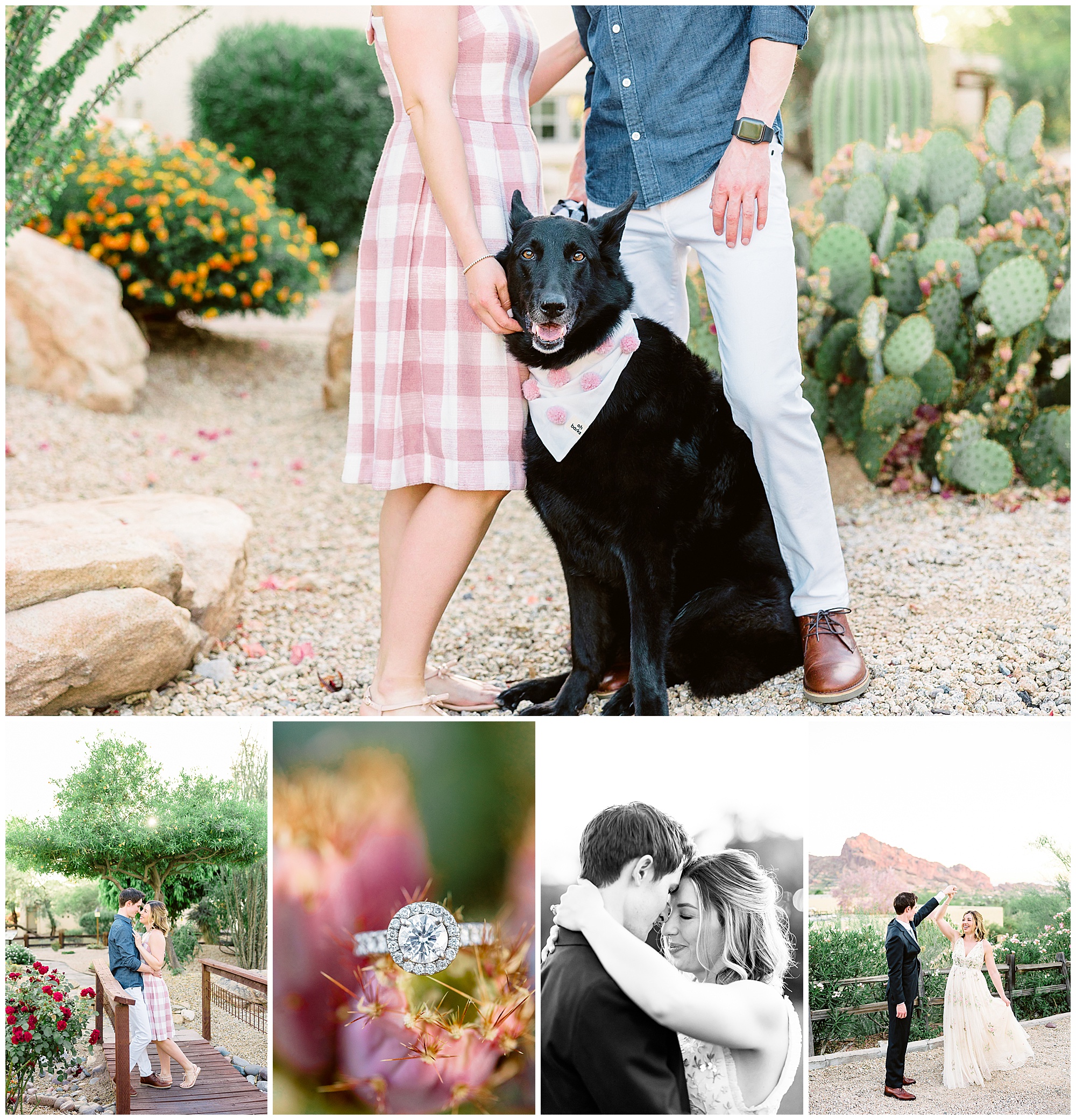 Engagement Photos at camelback Inn IN scottsdale with their dog